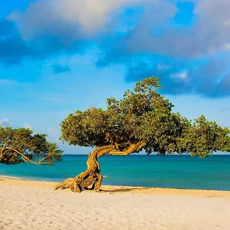 Beachfront - Precious Ruby 2Br Condo - Bc355